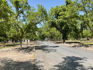 Terreno en Venta en Parras de la Fuente Centro Parras