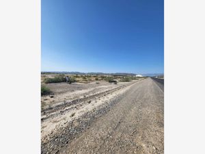 Terreno en Venta en Parras de la Fuente Centro Parras