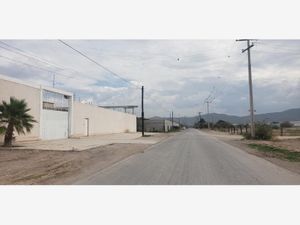 Terreno en Venta en San Esteban Torreón