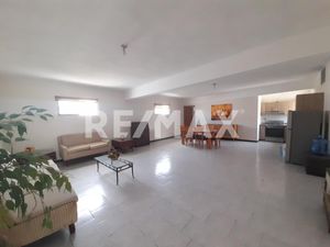 Departamento en Renta en Torreon Jardin Torreón