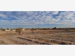 Terreno en Venta en La Concha Torreón