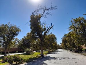 Terreno en Venta en La Barranca Torreón