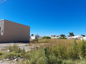 Terreno en Renta en Loma Real Torreón