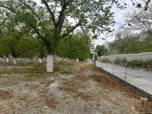 Terreno en Venta en Parras de la Fuente Centro Parras