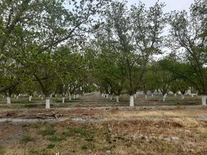 Terreno en Venta en Parras de la Fuente Centro Parras