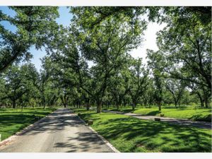 Terreno en Venta en Parras Parras