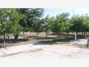 Terreno en Venta en Benito Juárez Lerdo