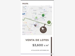 Terreno en Venta en Las Quintas Torreón