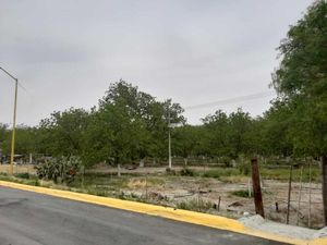 Terreno en Venta en Parras de la Fuente Centro Parras