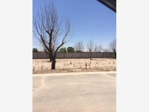 Terreno en Venta en Las Trojes Torreón