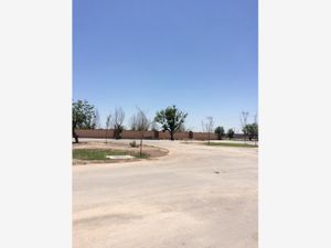 Terreno en Venta en Las Trojes Torreón