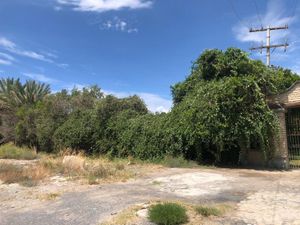 Terreno en Venta en Rincon del Montero Parras