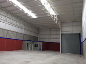 Bodega en Renta en La Union Torreón