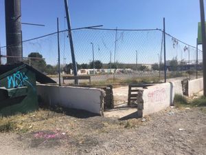 Terreno en Renta en Valle Verde Torreón