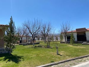 Terreno en Venta en Parras de la Fuente Centro Parras