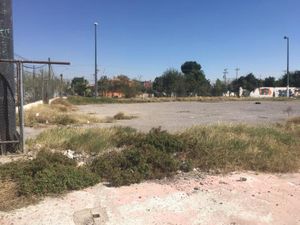 Terreno en Renta en Valle Verde Torreón