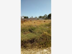 Terreno en Venta en Lomas de Comanjilla León