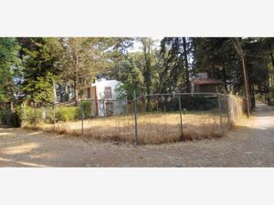 Terreno en Venta en Bosque de Cuauhyocan Amozoc