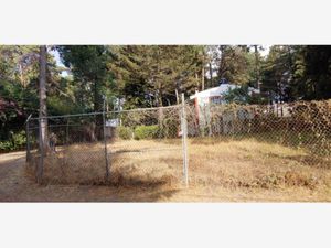 Terreno en Venta en Bosque de Cuauhyocan Amozoc