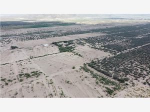 Terreno en Venta en Estación Picardías Lerdo