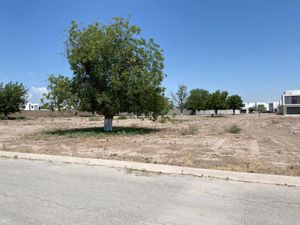 Terreno en Venta en Real del Nogalar Torreón