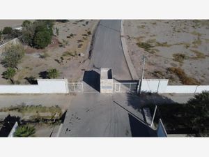 Terreno en Venta en El Perú Torreón