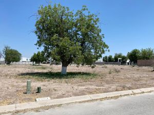 Terreno en Venta en Real del Nogalar Torreón