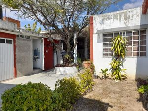 Casa en venta en León, Gto., México. Universidad de Guanajuato,  Departamento de Medicina, Universidad de Guanajuato, Campus León, Centro