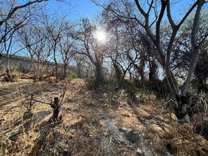 Terreno en VENTA en Marfil muy cerca del templo en calle de los Hospitales