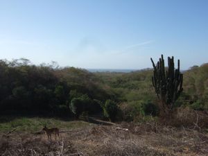 Terreno en Venta en Corral del Risco (Punta de Mita) Bahía de Banderas