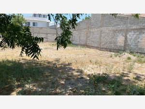 Terreno en Venta en San Armando Torreón