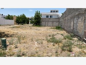 Terreno en Venta en San Armando Torreón