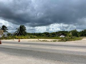 Terreno en Venta en Chicxulub Puerto Progreso