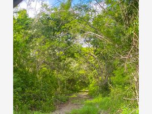 Terreno en Venta en Misnébalam Mérida