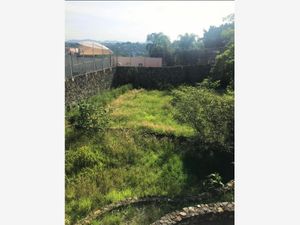 Terreno en Venta en Burgos Temixco