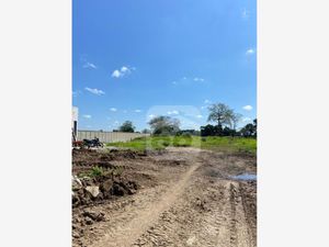 Terreno en Venta en Ixtacomitán 1ra. Sección Centro