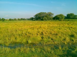 Terreno en Venta en Resurgimiento Atotonilco Puebla