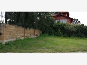 Terreno en Venta en Oasis Valsequillo Puebla