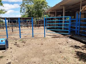 Finca/Rancho en Venta en Parrilla Centro