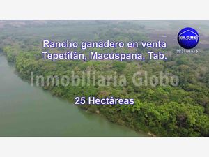Finca/Rancho en Venta en Tepetitan Macuspana