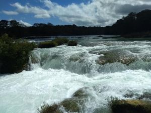 Terreno en Venta en Salto de Agua Salto de Agua