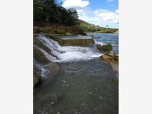 Terreno en Venta en Salto de Agua Salto de Agua