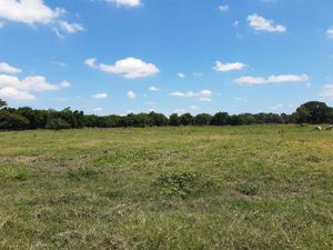 Finca/Rancho en Venta en Parrilla Centro