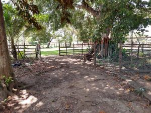 Finca/Rancho en Venta en Parrilla Centro