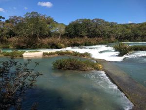 Terreno en Venta en Salto de Agua Salto de Agua