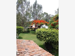 Casa en Venta en Vista Hermosa Cuernavaca