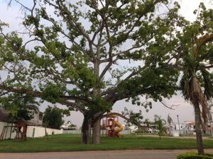 Terreno en Venta en Las Hadas Centro