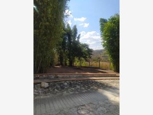 Terreno en Venta en Berriozabal Centro Berriozábal