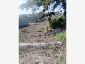 Terreno en Venta en Berriozabal Centro Berriozábal