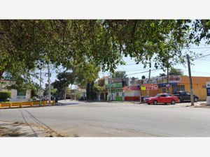 Terreno en Venta en Santos Tuxtla Gutiérrez